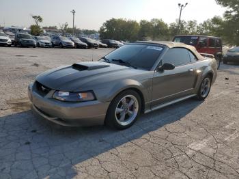  Salvage Ford Mustang