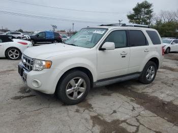  Salvage Ford Escape