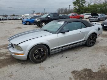  Salvage Ford Mustang