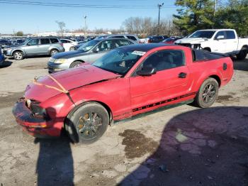  Salvage Ford Mustang