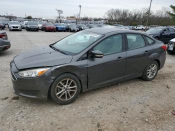  Salvage Ford Focus