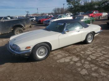  Salvage Jaguar Xjs