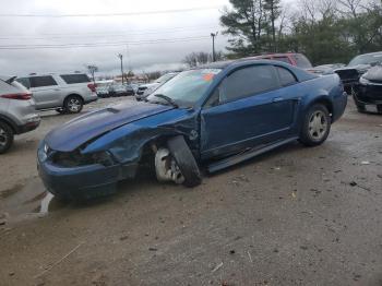  Salvage Ford Mustang