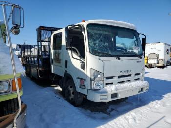  Salvage Isuzu Npr