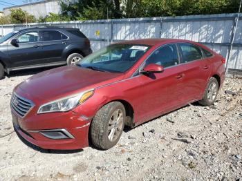  Salvage Hyundai SONATA