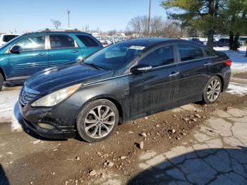  Salvage Hyundai SONATA