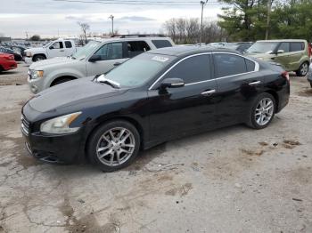  Salvage Nissan Maxima