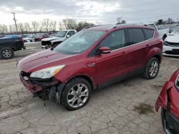 Salvage Ford Escape