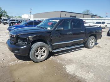  Salvage Dodge Dakota