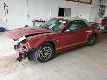  Salvage Ford Mustang
