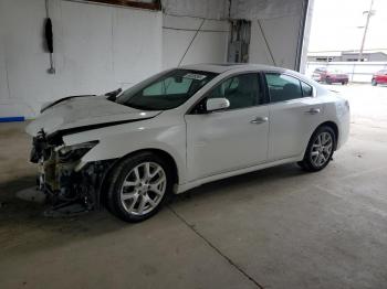  Salvage Nissan Maxima
