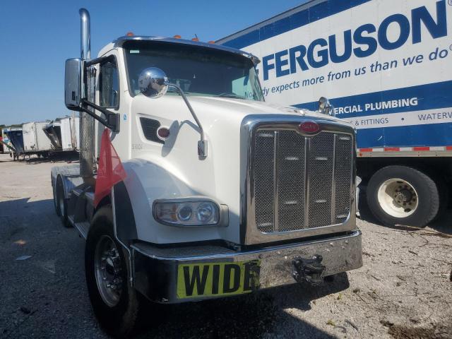  Salvage Peterbilt 567