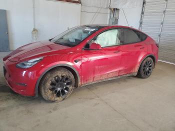  Salvage Tesla Model Y