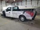 Ford F-150 Image 2
