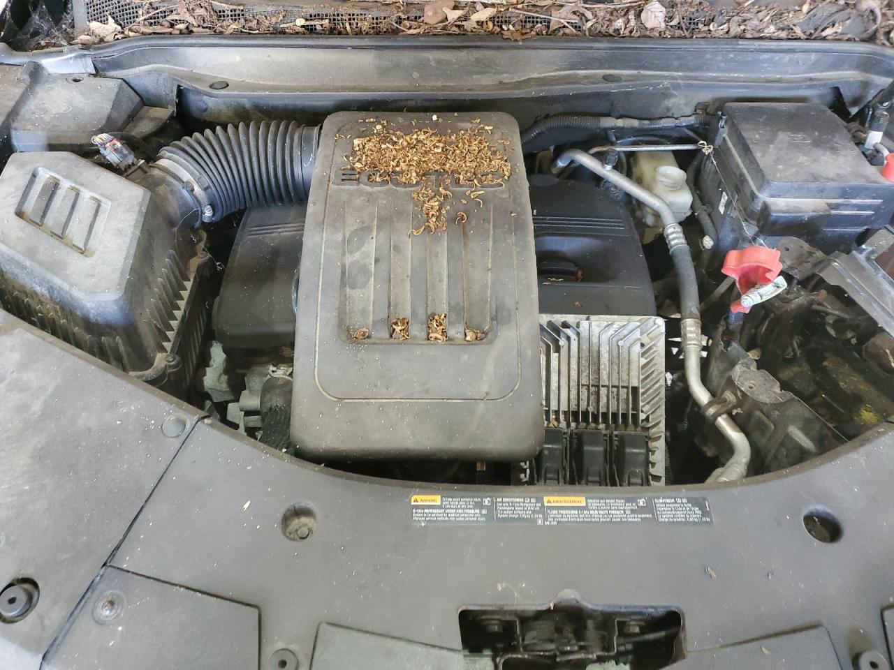 Chevrolet Equinox Ls Image 11