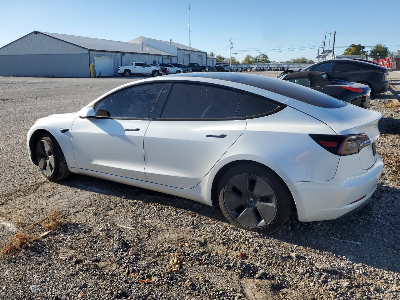 Tesla Model 3 Image 5