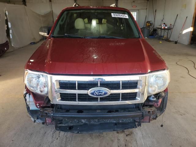 Ford Escape Xlt Image 4