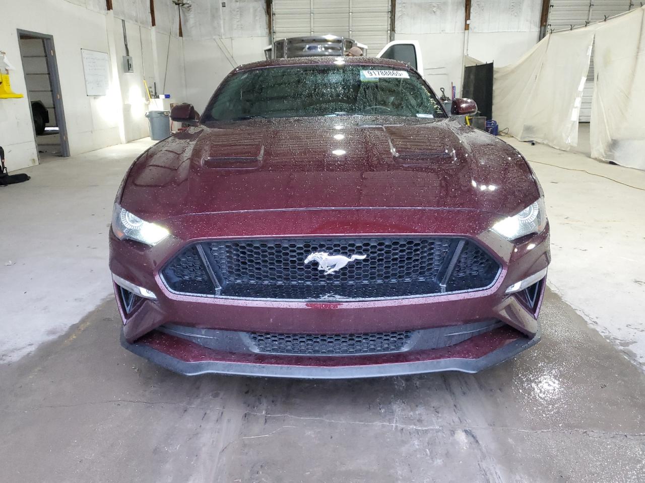 Ford Mustang Gt Image 3