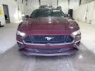 Ford Mustang Gt Image 3